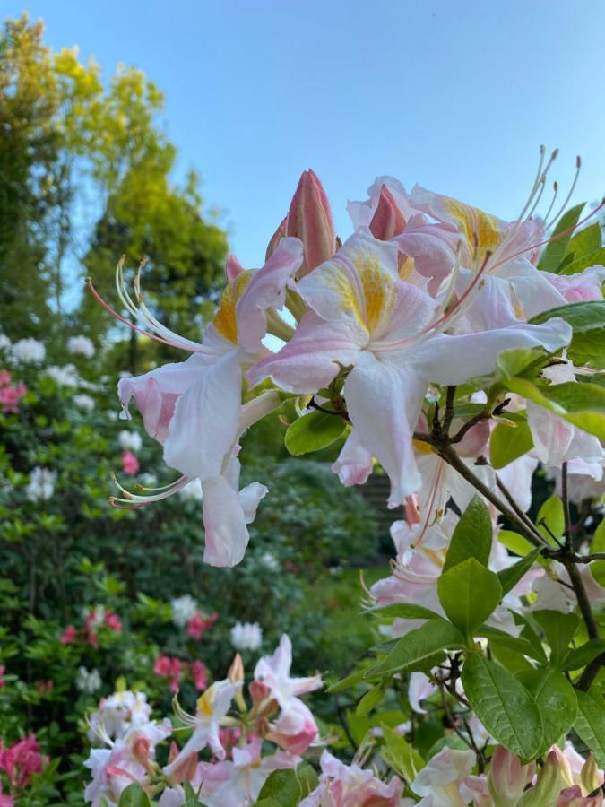 הנגלו Bed And Breakfast Villa Beldershoek מראה חיצוני תמונה